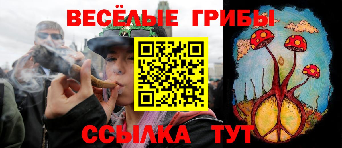 Саки  Псилоцибиновые грибы Psilocybe  Вход с VPN 