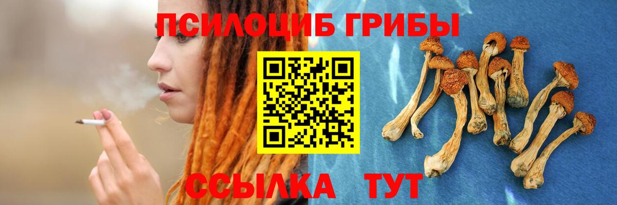Галлюциногенные грибы GOLDEN TEACHER Саки